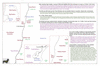 coo1e16 hawke to byron_thumb.gif